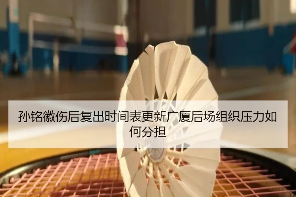 孙铭徽伤后复出时间表更新广厦后场组织压力如何分担